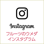 instagram（インスタグラム）フルーツのウメダ